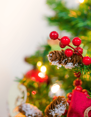 CCF-News-Holiday Campaign